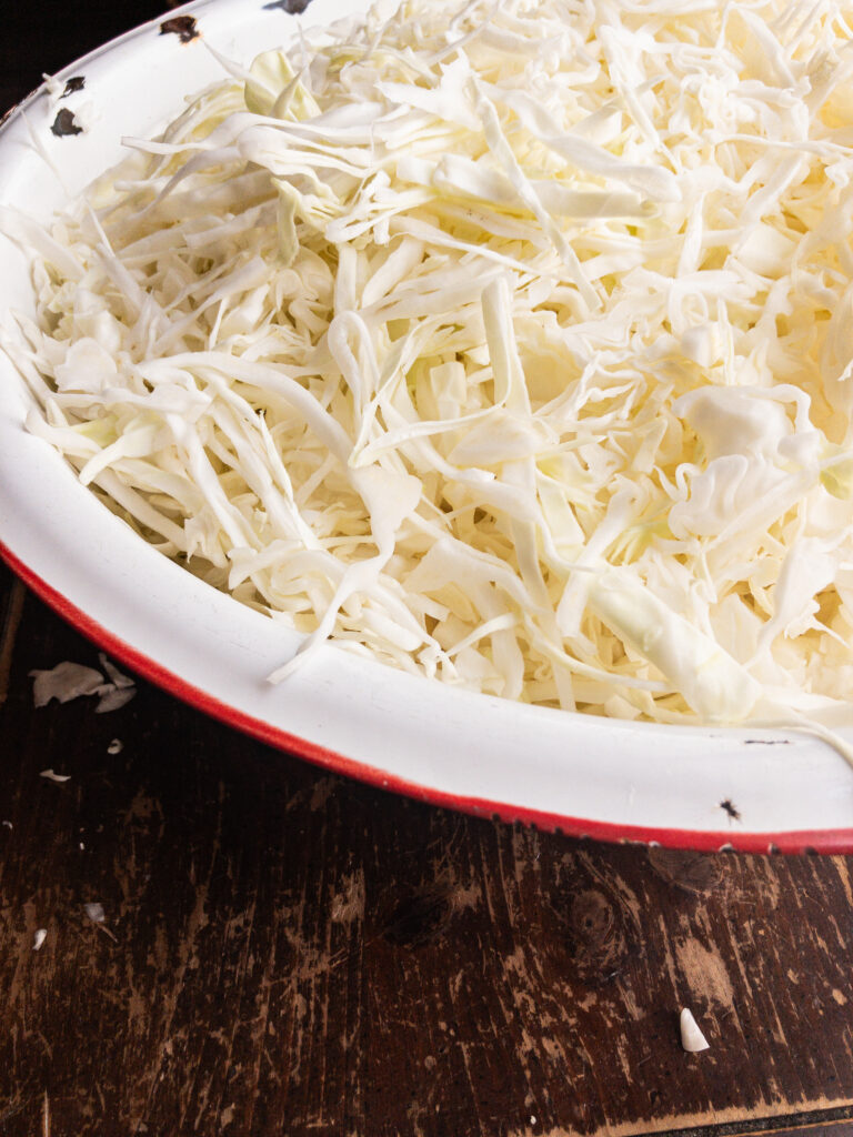 sauerkraut sitting in a white bowl