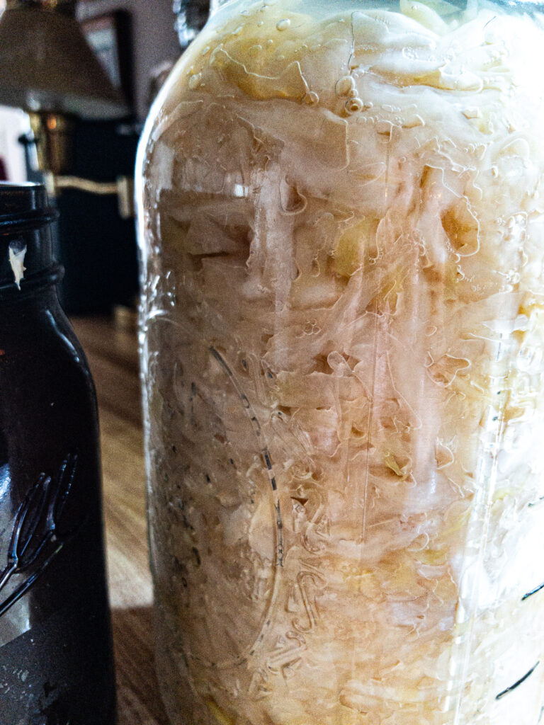 sauerkraut in a jar