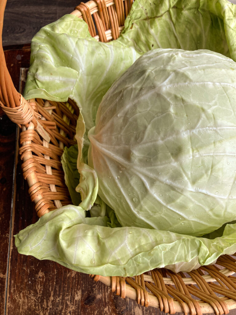 Head of cabbage sitting in a basket