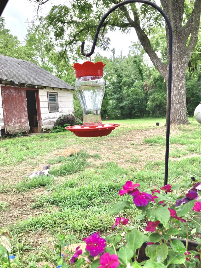 Hummingbird feeder hanging above flowers