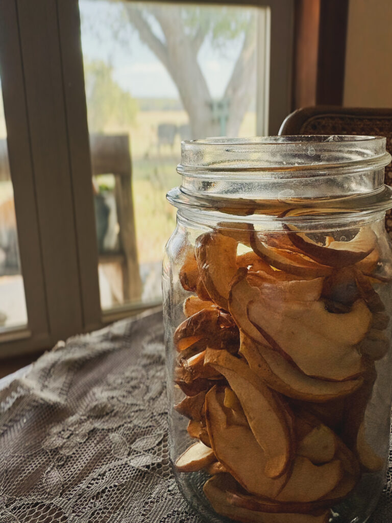 Dried apple slices in a jar